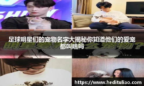 NG·28中国南宫网站